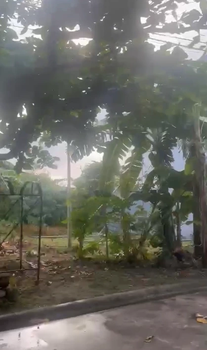 Lot For Sale -  Grand Villa Lapu-Lalu City Cebu — Residential Lot in Lapu-lapu City, Cebu, 6015 — Photo 3