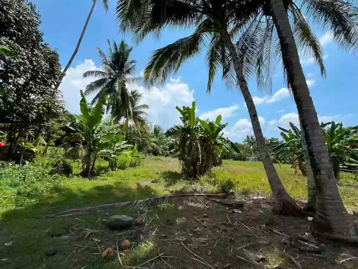 For Sale: Residential Lot in Bacung, Negros Oriental — 944 sqm — Residential Lot in Bacung, Negros Oriental, 6216 — Photo 3