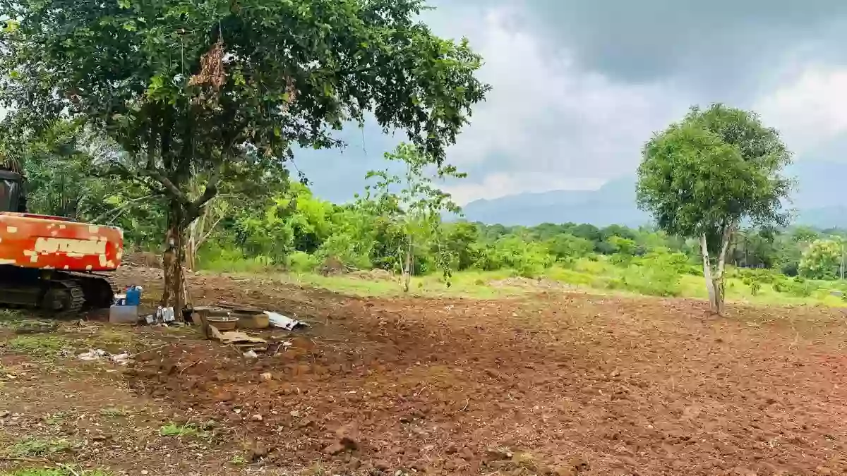 For Sale: 4BR House and Lot in Santa Monica, Puerto Princesa City — House and Lot in Puerto Princesa City, Palawan, 5300 — Photo 6