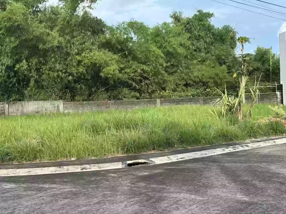 For Sale: Residential Lot in Concepcion Pequeña, Naga City — 240 sqm — Residential Lot in Camarines Sur, 4400, Philippines — Photo 2