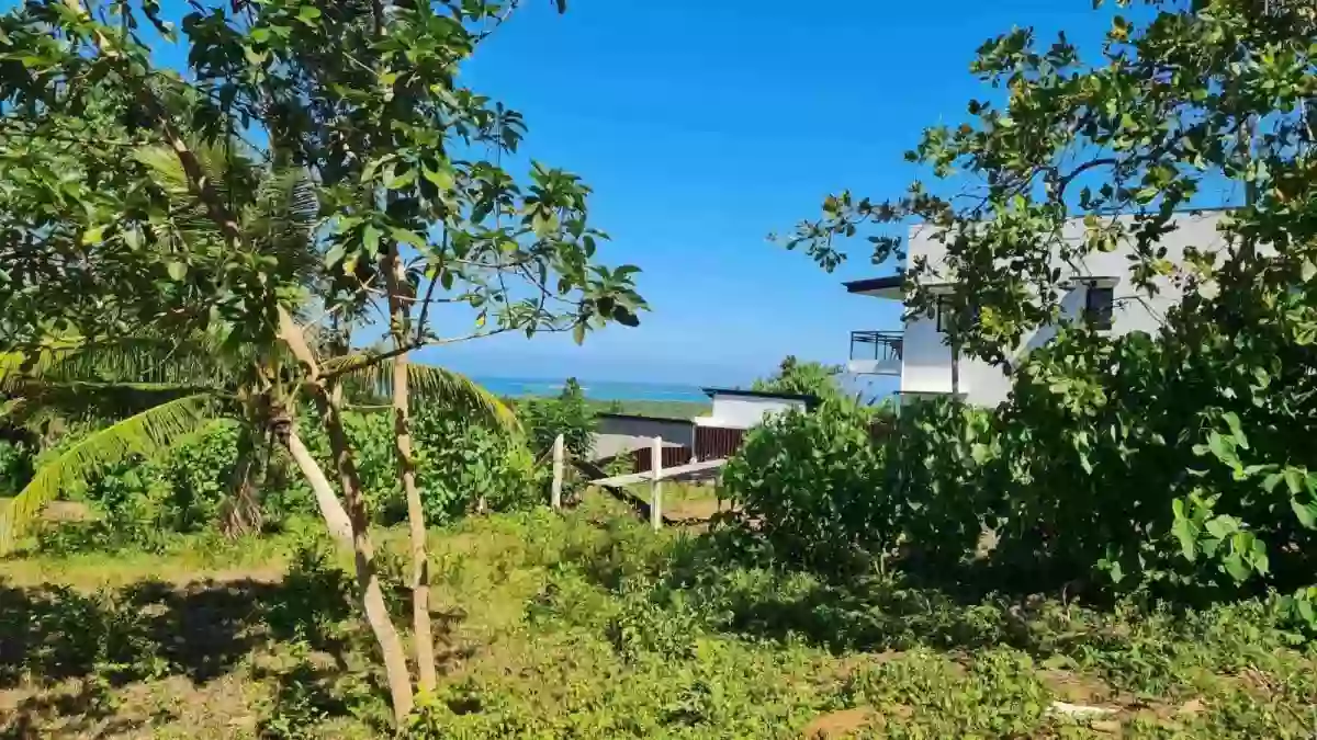 For Sale: Residential Lot in Sta. Lourdes, Puerto Princesa City — Residential Lot in Puerto Princesa City, Palawan, 5300 — Photo 2
