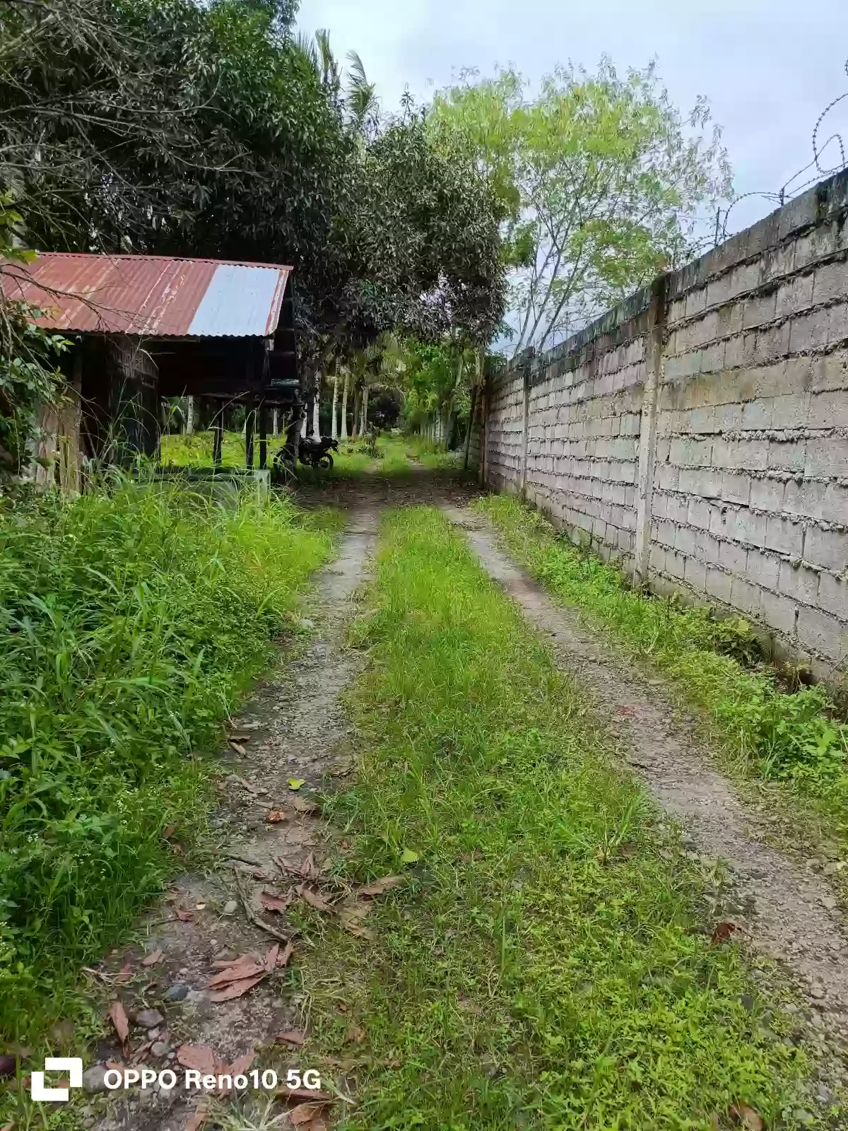 FARM LOT FORSALE — Agricultural Lot in Polomolok, South Cotabato, 9504 — Photo 4