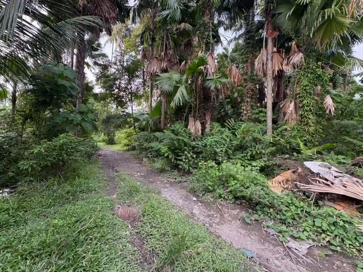 Rush Sale: Agricultural Lot in Katangawan, General Santos City — 4,851 sqm — Agricultural Lot in Katangawan, General Santos City, South Cotabato — Photo 3