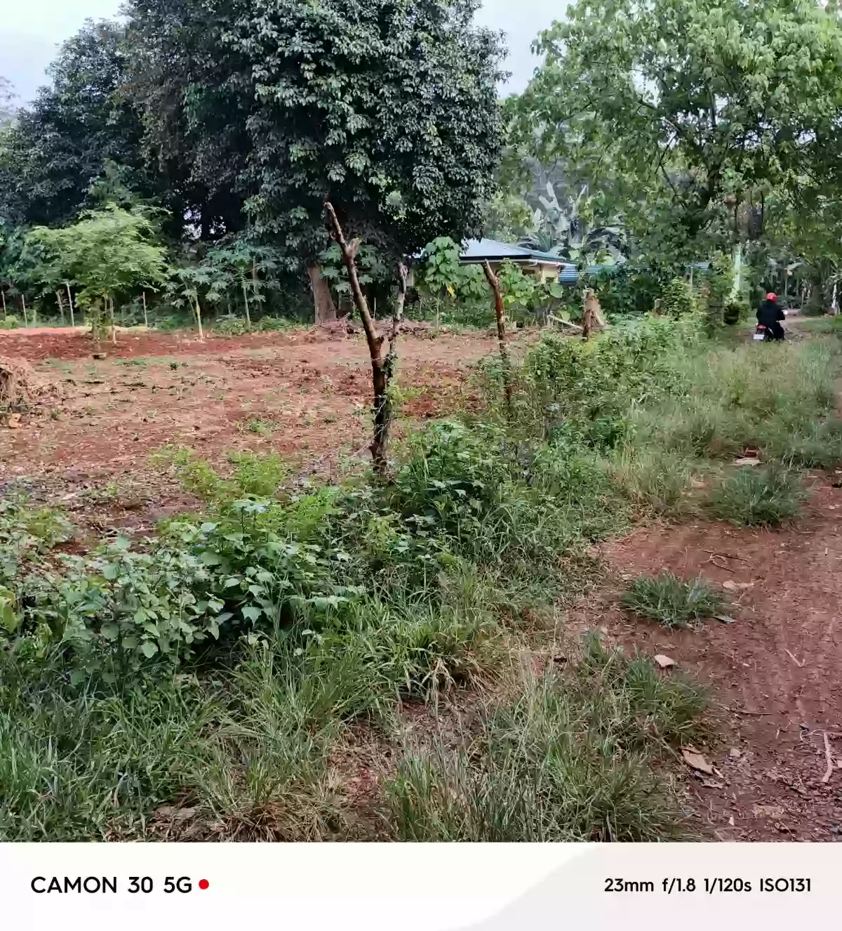 Rush Sale: Residential Lot in San Manuel, Puerto Princesa City — Investment — Residential Lot in Puerto Princesa City, Palawan, 5300 — Photo 5