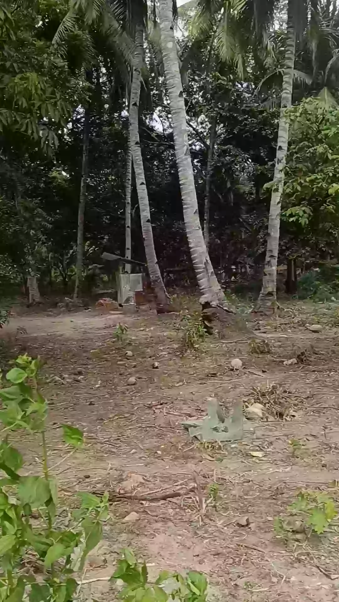 Open photo 11 of 21 — For Sale Commercial Lot in Matiao, Mati City — 7,329 sqm