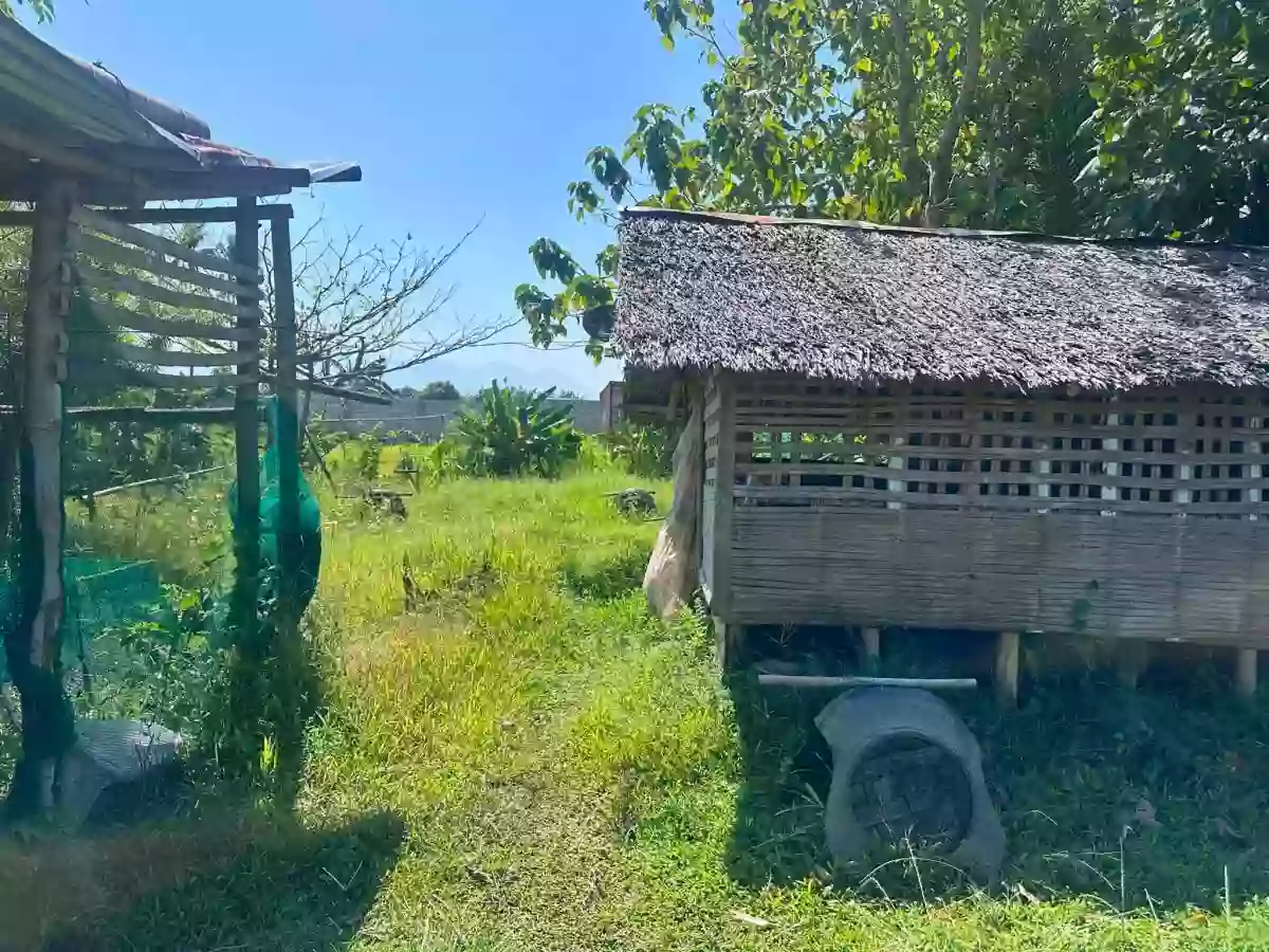 Rush Sale: Residential Lot in Alangilan, Bacolod City — 1585 sqm — Residential Lot in Alangilan, Bacolod City, Negros Occidental — Photo 5