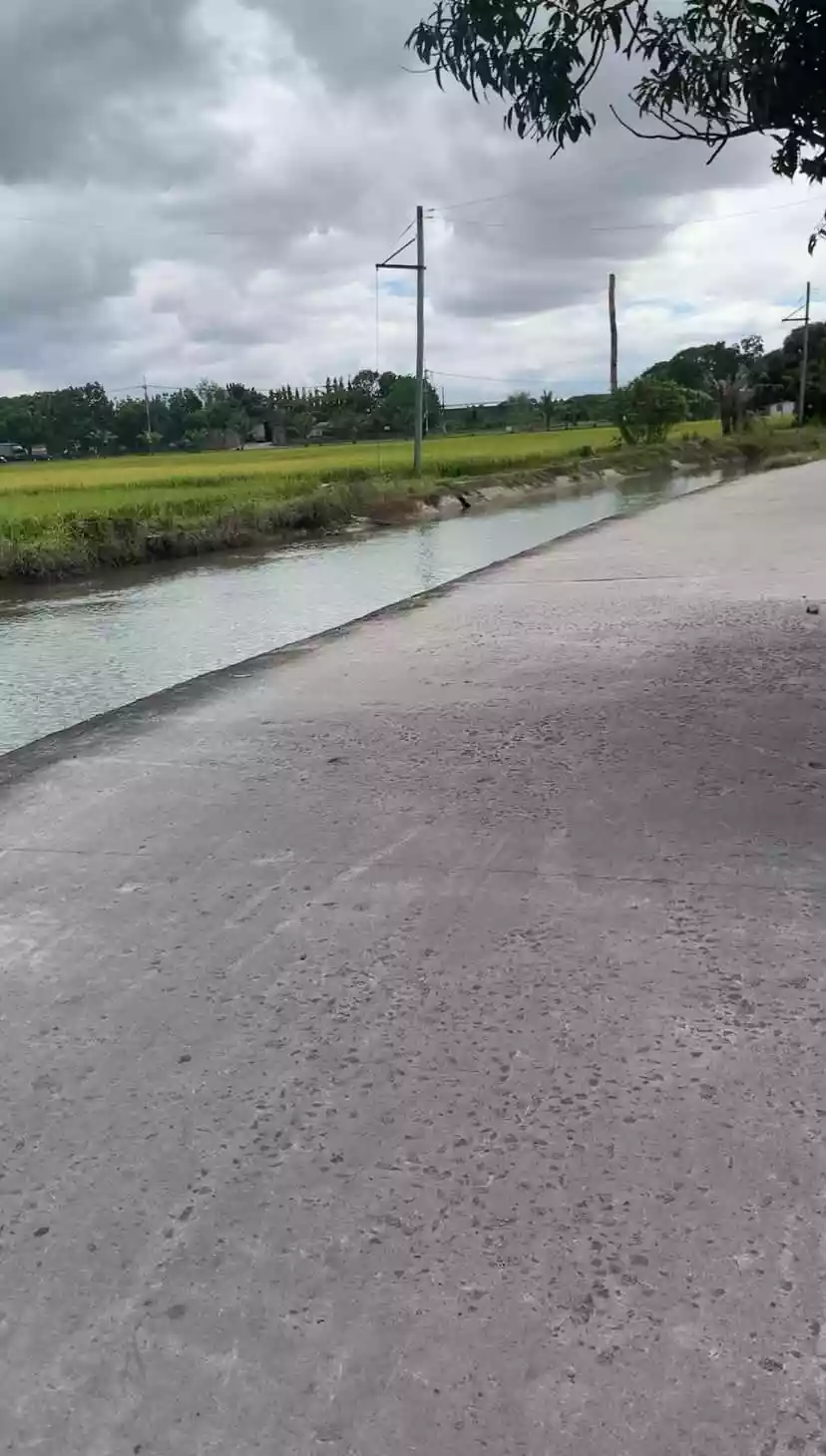 Rush Sale: Agricultural Lot in Bintog, Plaridel — 1000 sqm — Agricultural Lot in Plaridel, Bulacan, 3004 — Photo 3