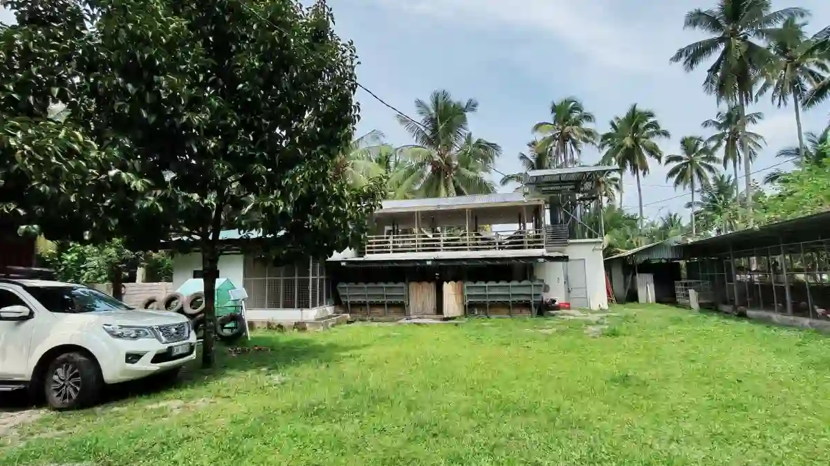 For Sale: Agricultural Lot in Polonuling, Tupi — 20000 sqm
