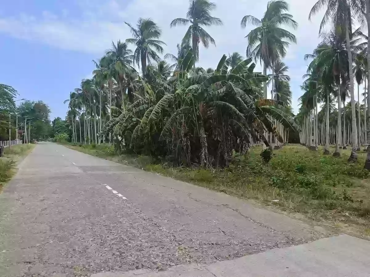 For Sale: Agricultural Lot in Bobon, Mati — 54,432 sqm