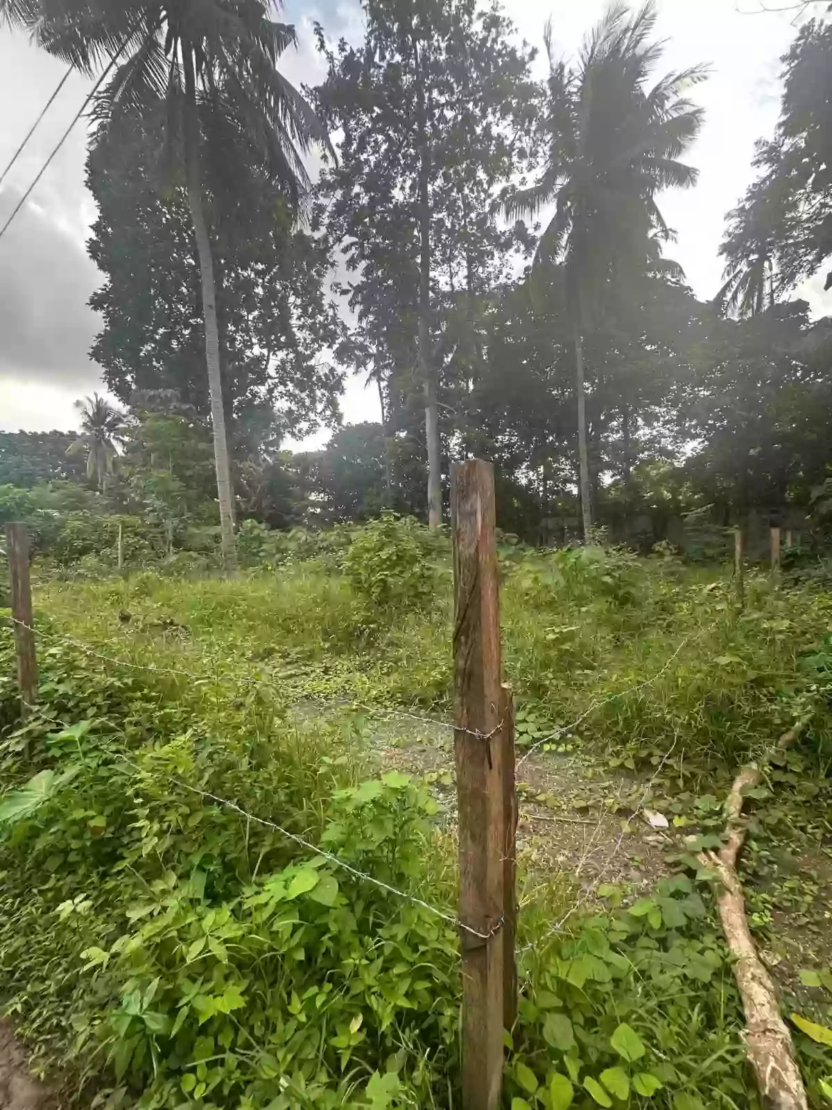 For Sale: Residential Lot in Shrine Hills, Matina Davao City — 400 sqm — Residential Lot in Talomo (Pob.), Davao City, Davao del Sur — Photo 3