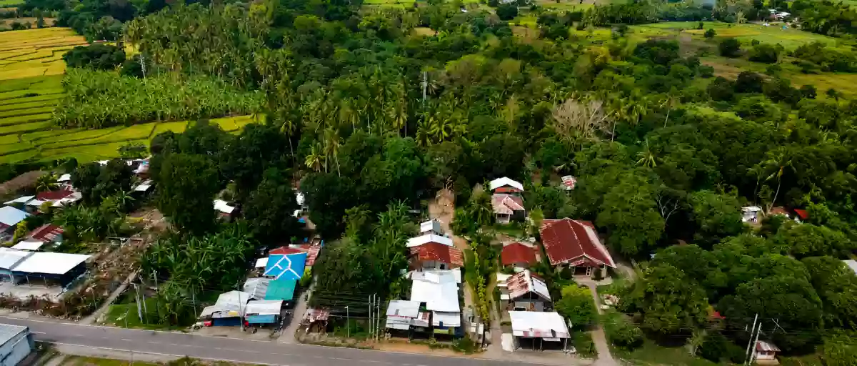 Open photo 11 of 13 — For Sale: Agricultural Lot in Matti, Digos — 40000 sqm along road