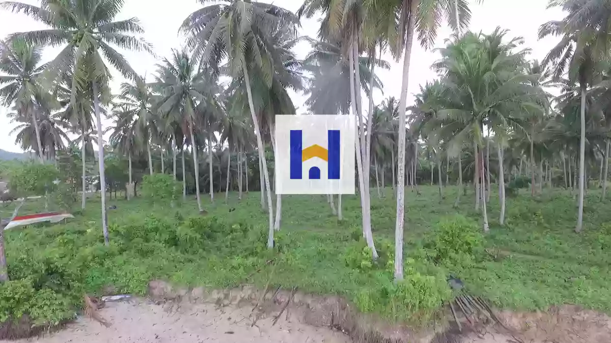 For Sale: Beach Lot in Lucbuan, Puerto Princesa City — Titled Property — Beach Lot in Puerto Princesa City, Palawan, 5300 — Photo 4