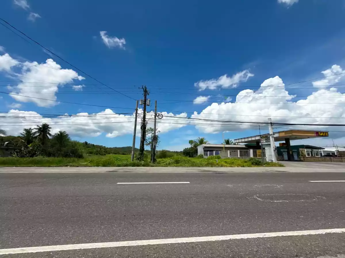 For Sale: Commercial Lot in Poblacion, Pamplona — 90000 sqm — Commercial Lot in Pamplona, Camarines Sur, 4416 — Photo 2