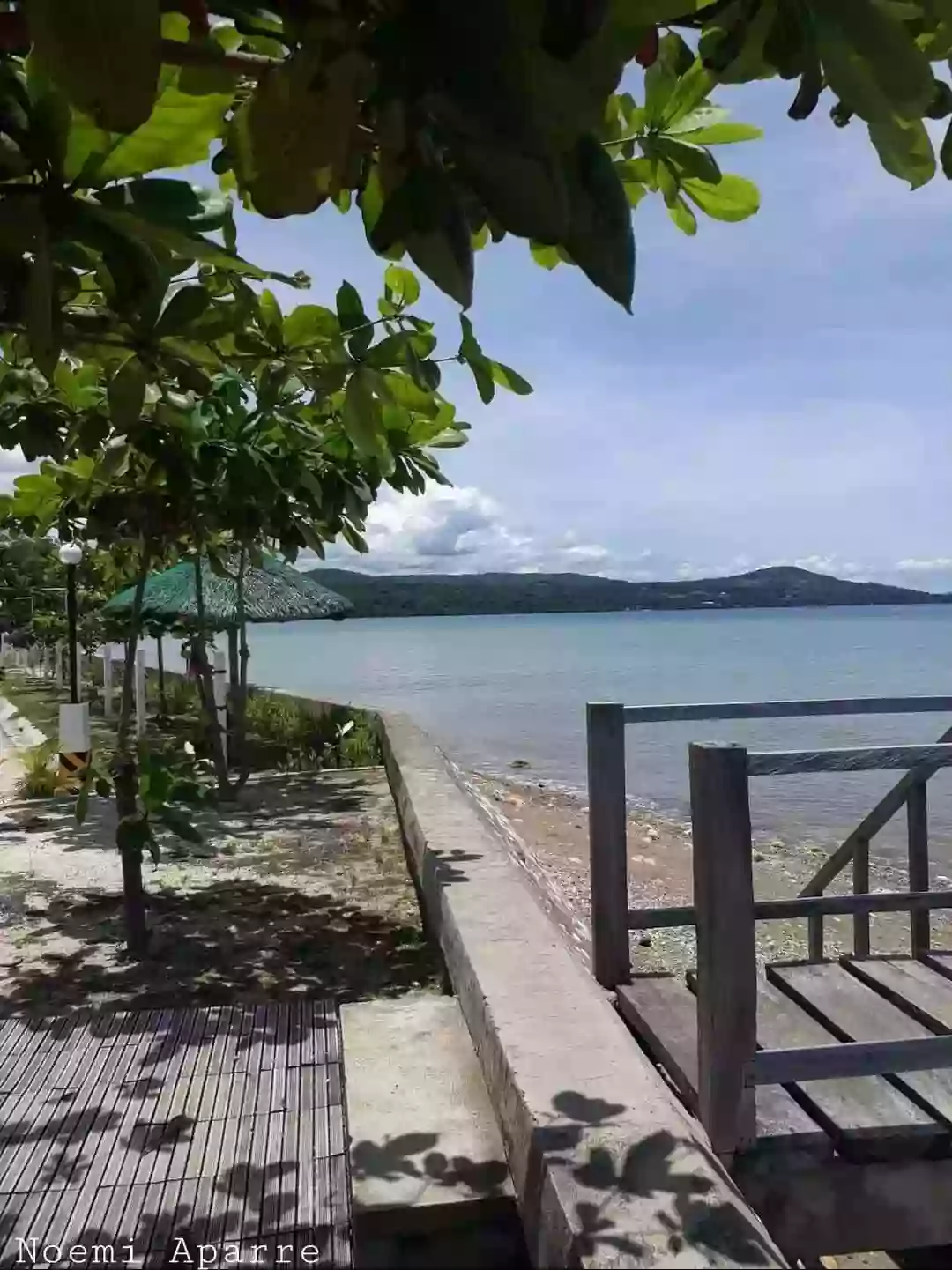 FOR SALE: ONE-STOREY SINGLE DETACHED HOUSE AND LOT AT ARGAO ROYAL PALMS — Beach House / Resort in Poblacion, Argao, Cebu — Photo 4