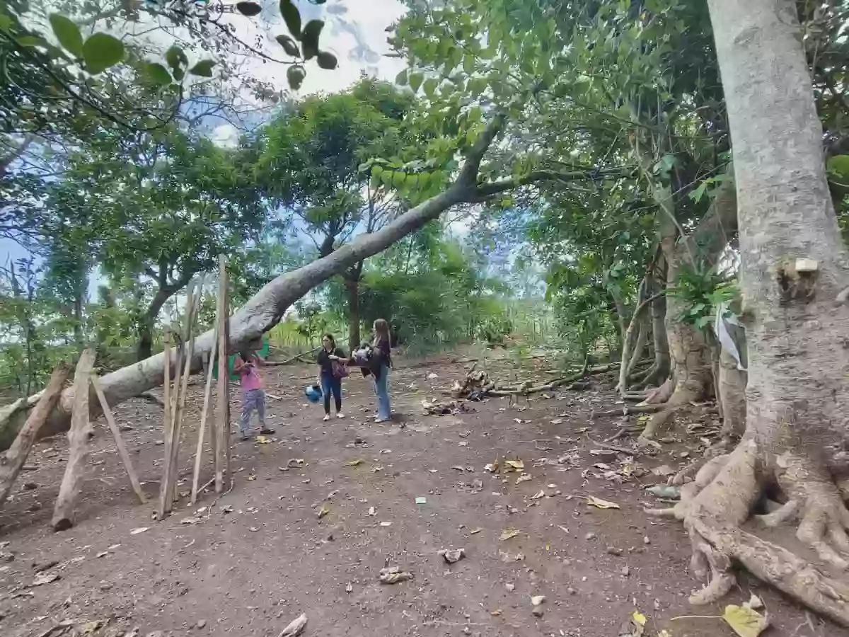 🏡 LOT FOR SALE – Cararayan, Naga City 🏡  📐 Lot Area: 661 SQM 📄 Clean Title — Agricultural Lot in Naga city, Pacol, Naga City — Photo 4