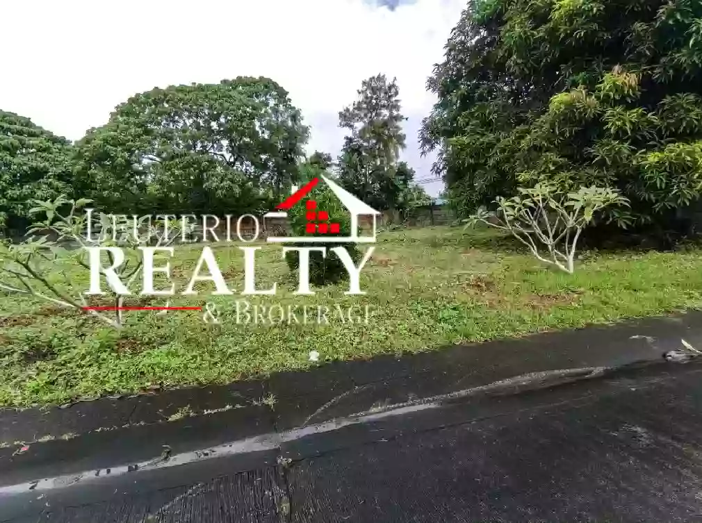 Residential Lot for Sale in Naga, Camarines Sur — Residential Lot in Naga City, Camarines Sur, 4400 — Photo 5