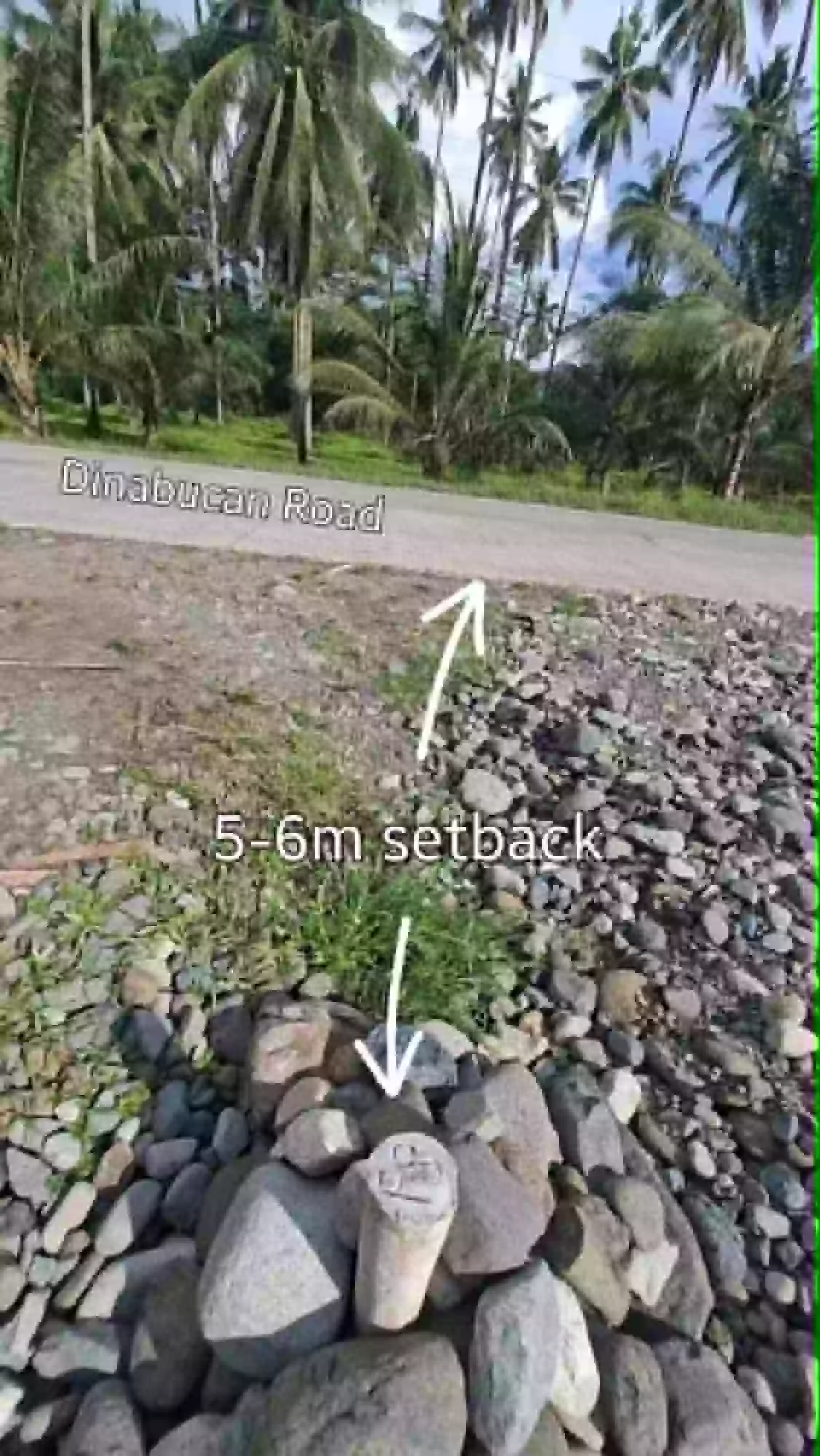 For Sale: 4246 sqm Commercial Lot in Mabini, Cabadbaran City — Commercial Lot in Mabini, Cabadbaran City, Agusan del Norte — Photo 6
