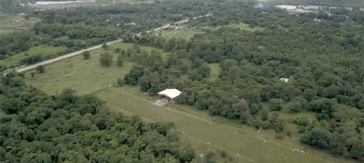 For Sale: Agricultural Lot in Tagburos, Puerto Princesa City — 292,567 sqm — Agricultural Lot in Puerto Princesa City, Palawan, 5300 — Photo 4
