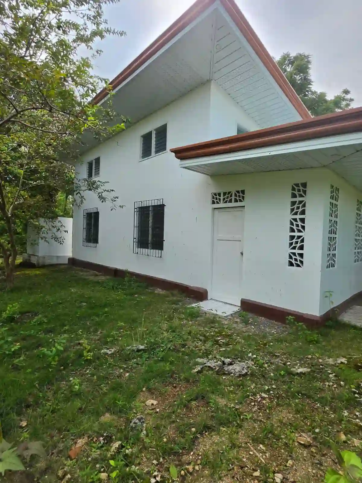 For Sale: 2BR House and Lot in Banban, Bogo City — 4340 sqm
