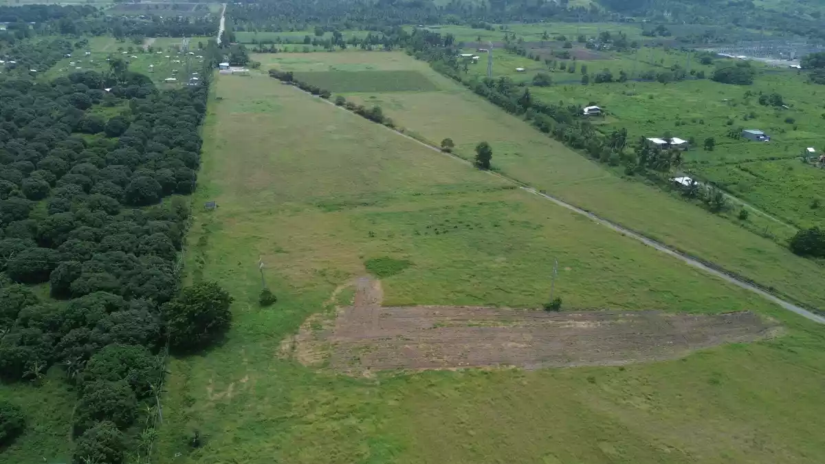 For Sale: Agricultural Lot in Cannery Site, Polomolok — 150000 sqm — Agricultural Lot in Polomolok, South Cotabato, 9504 — Photo 2