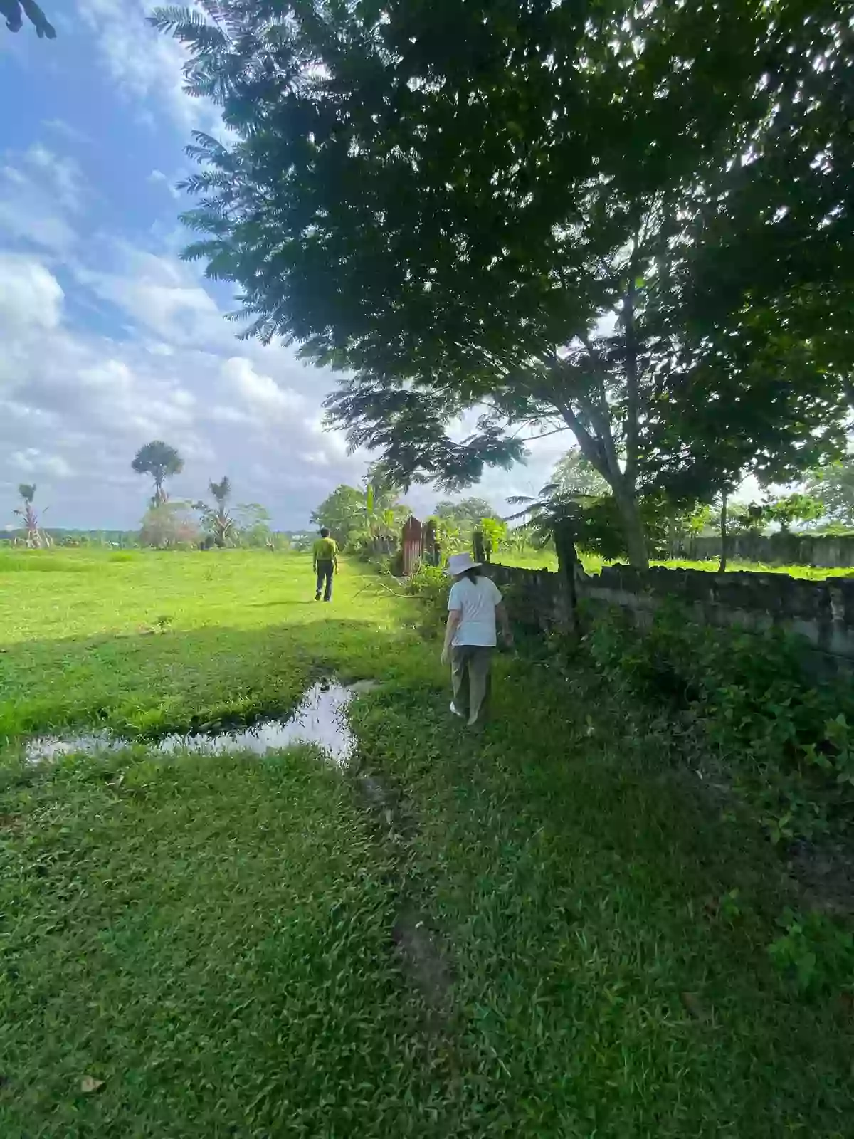 Rush Sale: 2000 sqm Agricultural Lot in Indangan, Davao City — Agricultural Lot in Indangan, Davao City, Davao del Sur — Photo 4