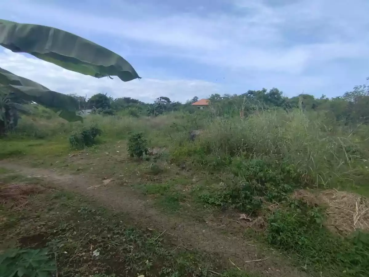 Lot for Sale near CCLEX Access Road — Residential Lot in Ibabao, Cordova, Cebu — Photo 7