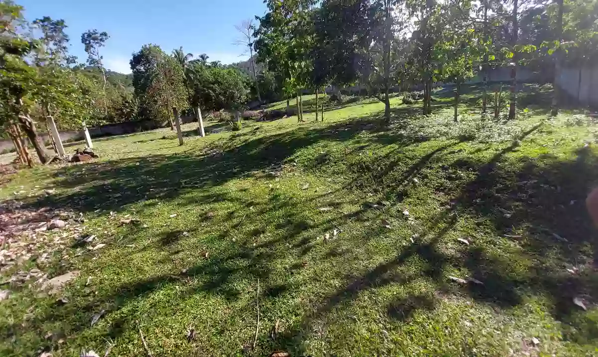 For Sale: Residential Lot in Apolong, Valencia — 1305 sqm — Residential Lot in Valencia, Negros Oriental, 6215 — Photo 5
