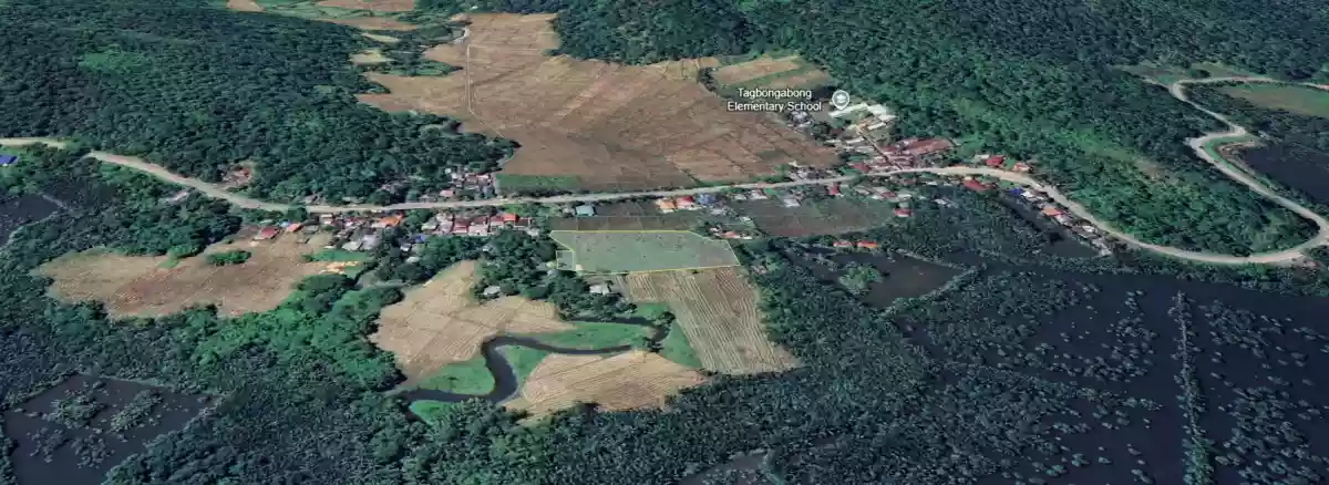 For Sale: Agricultural Lot in Tagbongabong, Placer — 6084 sqm — Agricultural Lot in Placer, Surigao del Norte, 8405 — Photo 4