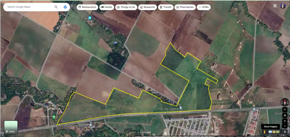 FOR SALE: Agricultural Land in Dos Hermanas, Talisay — 173,243 sqm — Agricultural Lot in Talisay, Negros Occidental, 6115 — Photo 5