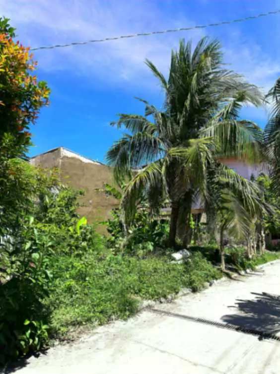 Residential Lot for Sale in (Sabang, Danao City) Subdivision Near Main Road and Entrance - photo 7