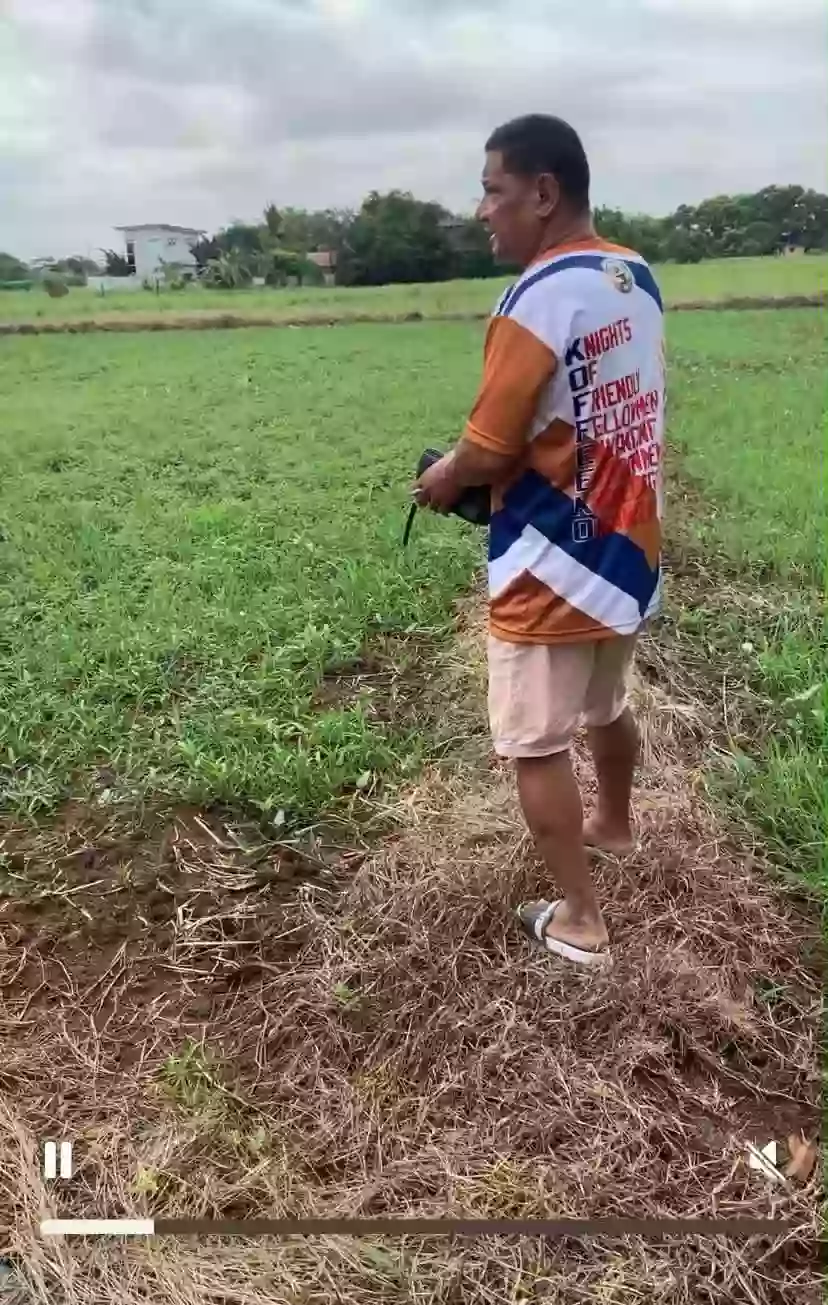 For Sale: Agricultural Lot in Bintog, Plaridel — 3000 sqm — Agricultural Lot in Plaridel, Bulacan, 3004 — Photo 6