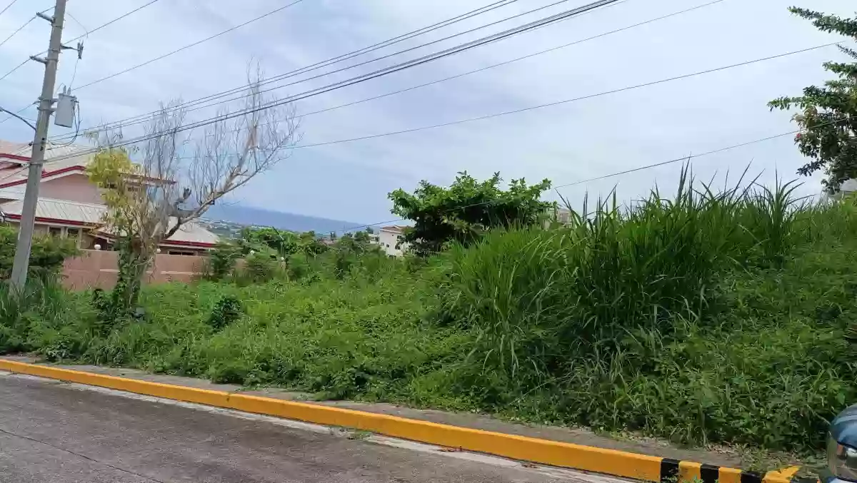 🌿 Prime Residential Lot for Sale – Pacific Heights Subdivision, Pardo, Cebu City — Residential Lot in Basak Pardo, Cebu City, Cebu — Photo 4
