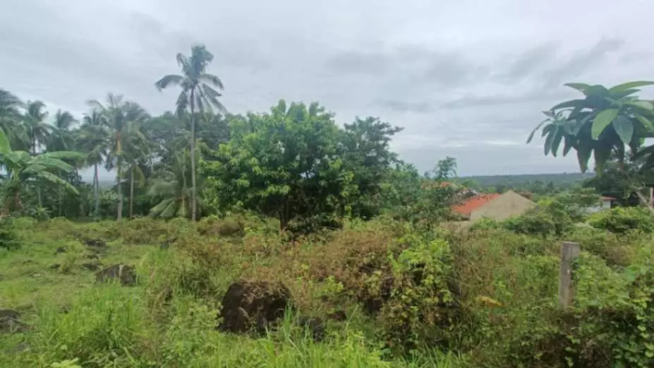 For Sale: Prime Overlooking Lot in Valencia, Negros Oriental/ Dumaguete City - photo 5