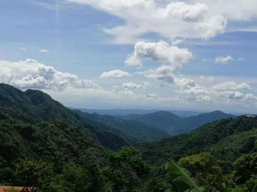 For Sale: 300 sqm Residential Lot in Poblacion, Tuba — Residential Lot in Tuba, Benguet, 2603 — Photo 3