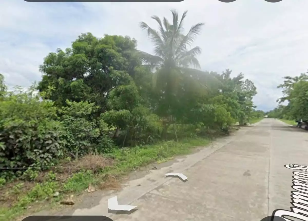 For Sale: Agricultural Lot Near Cabeza de Buenavista Rotunda, Buenavista — 27061 sqm — Agricultural Lot in Buenavista, Agusan del Norte, 8601 — Photo 3