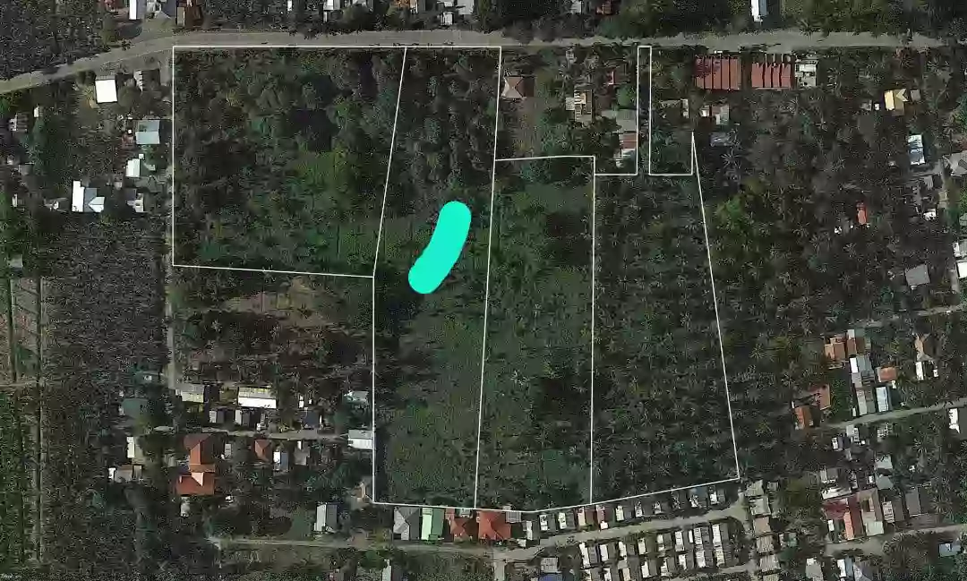 Industrial Lot for Sale at Cabaluna Brgy New Visayas Panabo City — Industrial Lot in Panabo, Davao del Norte, 8105 — Photo 3