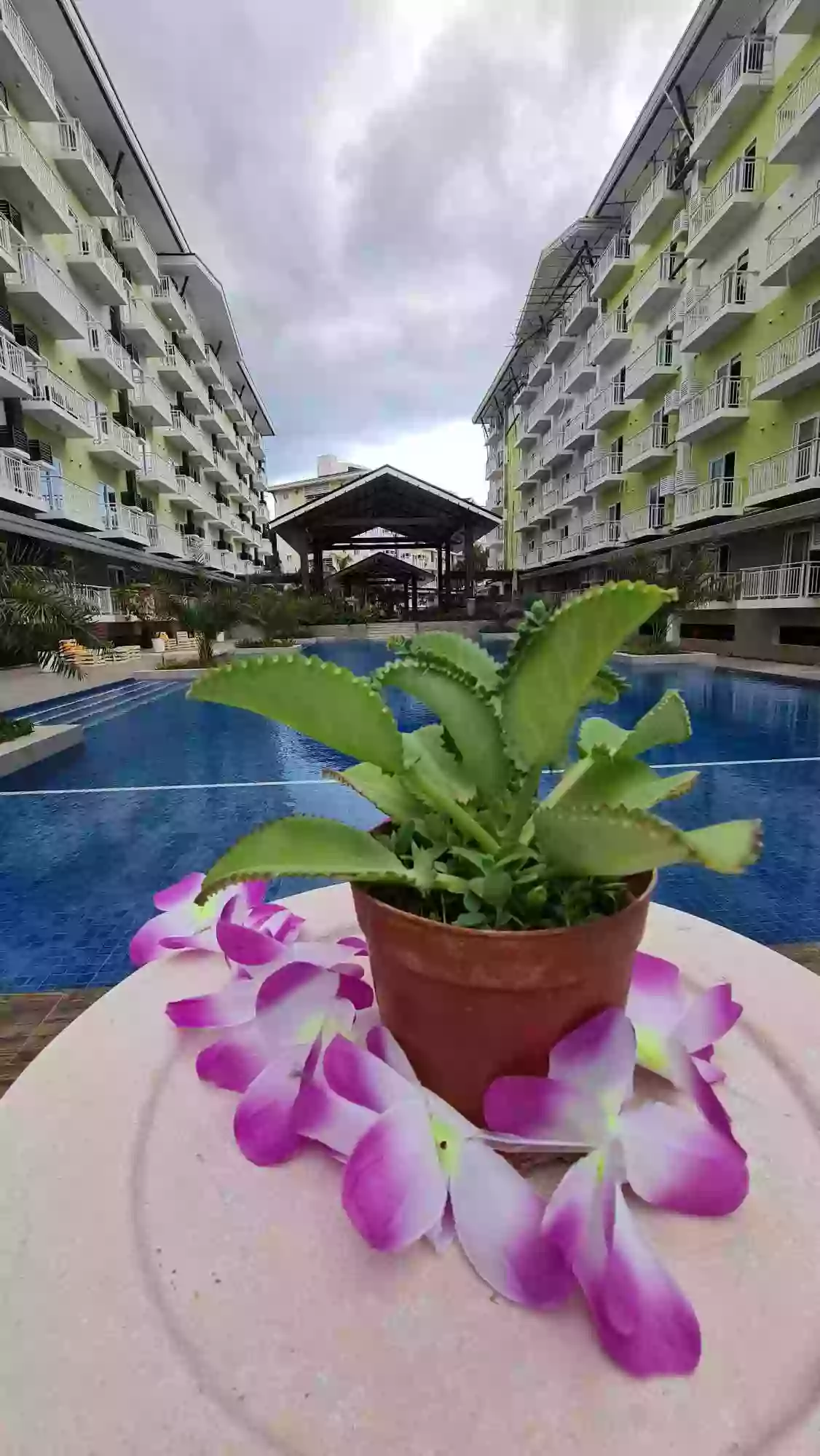 DELIVERABLE Studio unit with Balcony(Free appliances promo) — Studio in Pusok, Lapu-lapu City, Cebu — Photo 3