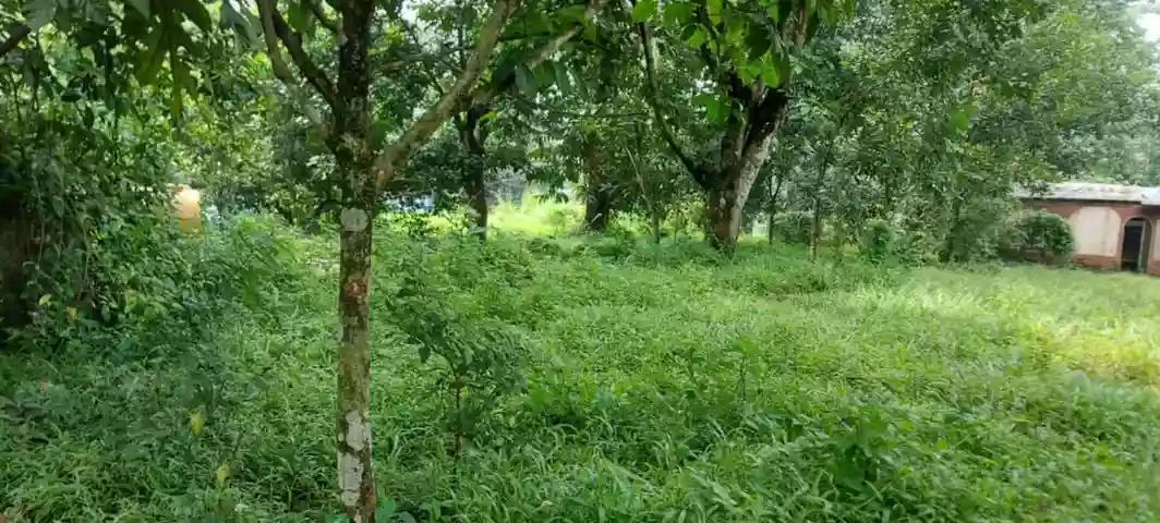 For Sale: Commercial Lot in Dela Paz (Pob.), Antipolo, Rizal — 1078 sqm — Commercial Lot in Antipolo, Rizal, 1870 — Photo 3