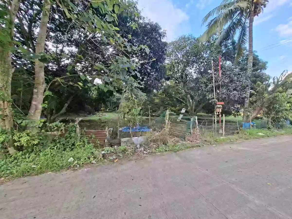 🌳 FOR SALE: 2,166 SQM Fruit-Bearing Lot along the Concrete Road in Indahag, CDO. FRE002