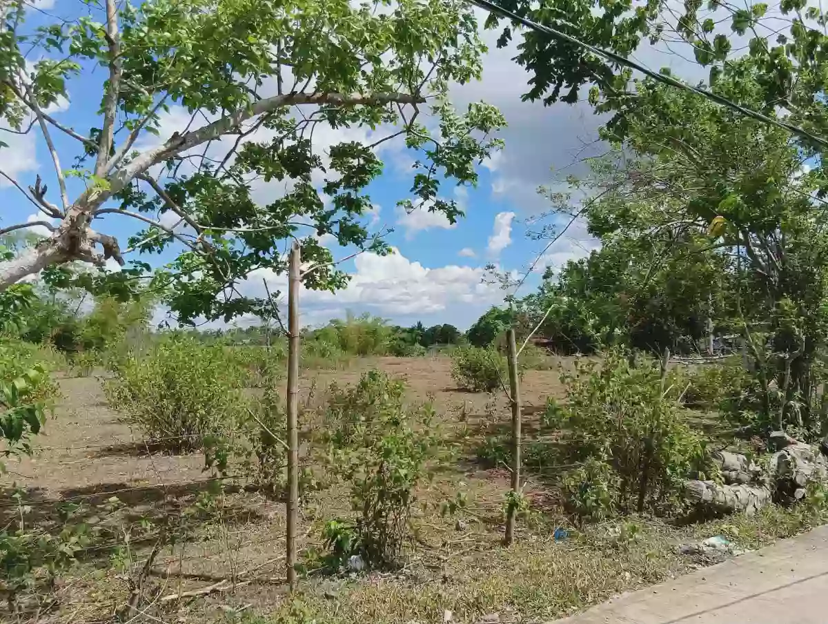 π‘ LOT FOR SALE β Cararayan, Naga City π‘ π Lot Area: 500 SQM π Clean Title β Agricultural Lot in Naga City, Camarines Sur, 4400 β Photo 2
