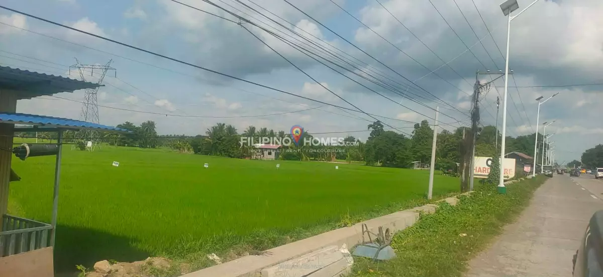 For Sale: Agricultural Lot in Villarica, Midsayap — 78372 sqm — Agricultural Lot in Midsayap, Cotabato, 9410 — Photo 5