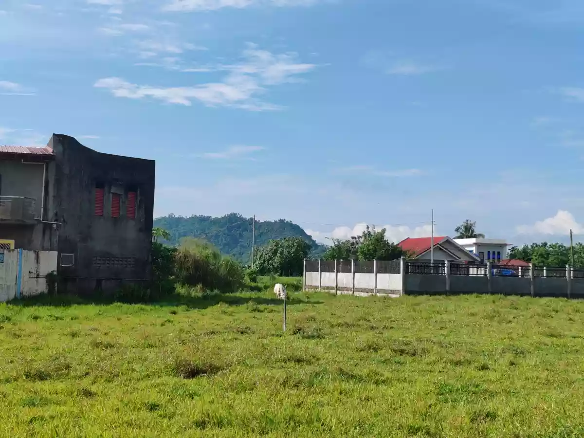 RESIDENTIAL LOT FOR SALE SURIGAO CITY — Residential Lot in Surigao City, Surigao del Norte, 8400 — Photo 4