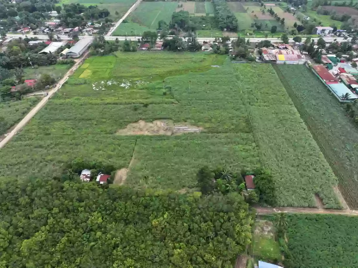 Agricultural Lot — Agricultural Lot in Don Carlos, Bukidnon, 8712 — Photo 3