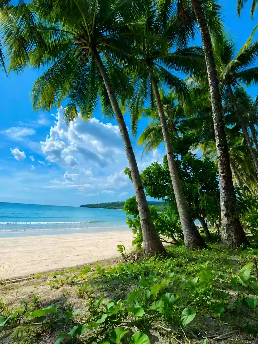 For Sale Beach Lot in Aporawan, Aborlan — 659 sqm — Beach Lot in Aborlan, Palawan, 5302 — Photo 6