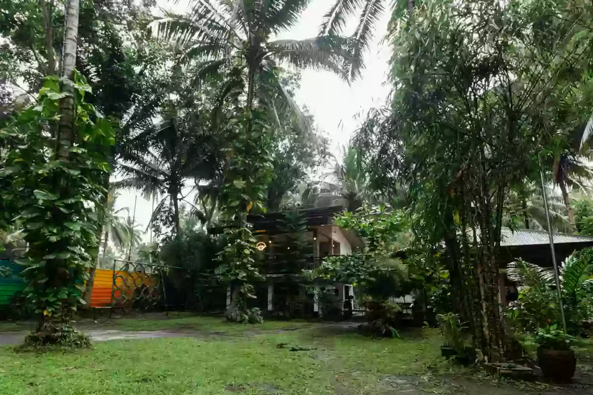 1000 sqm Agriturism Park for sale — Hotel in Tupi, South Cotabato, 9505 — Photo 7