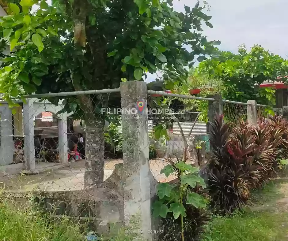 For Sale: 6BR House and Lot in Poblacion 8, Midsayap — 870 sqm — House and Lot in Midsayap, Cotabato, 9410 — Photo 4