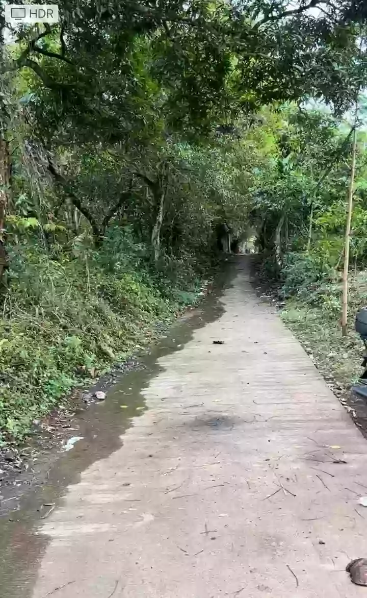 For Sale: Agricultural Lot in San Miguel II, Silang — 17589 sqm — Agricultural Lot in SITIO BANABA, San Miguel II, Silang — Photo 6