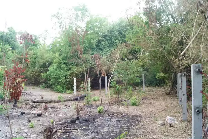 For Sale: Beach Lot in Pajo, Libertad, Antique — 4150 sqm — Beach Lot in Libertad, Antique, 5710 — Photo 2