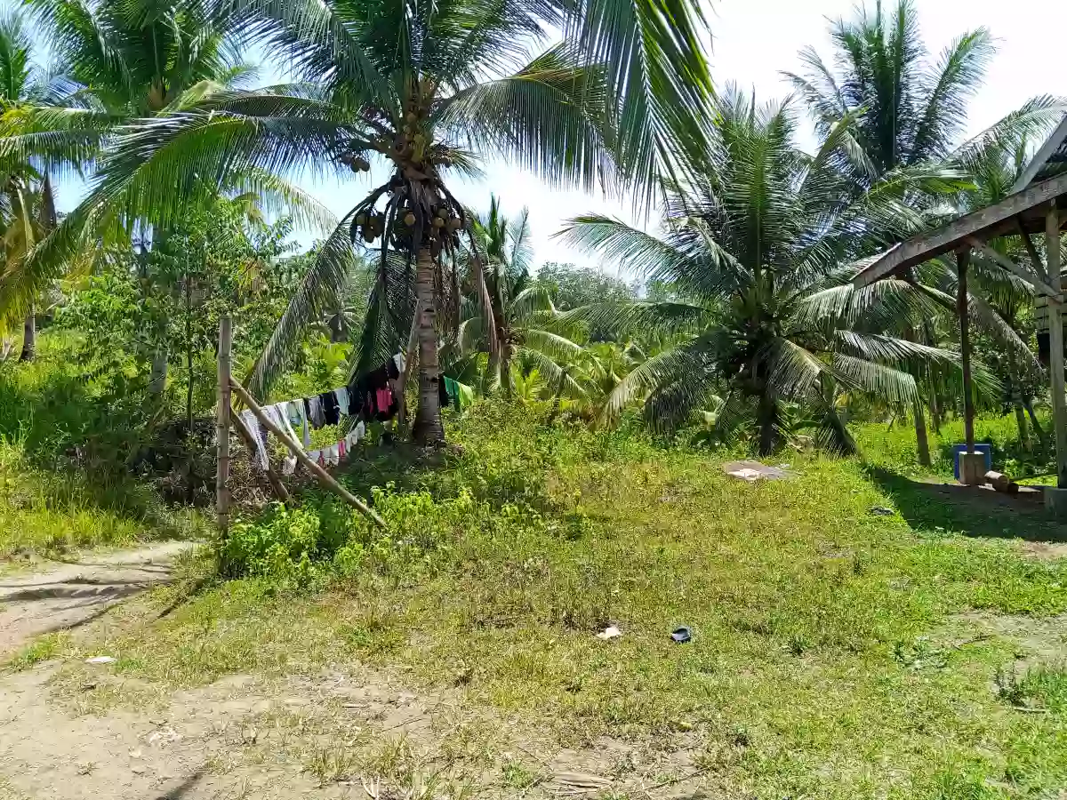 Farm lot for sale — Agricultural Lot in Alabel, Pag-Asa, Alabel — Photo 5