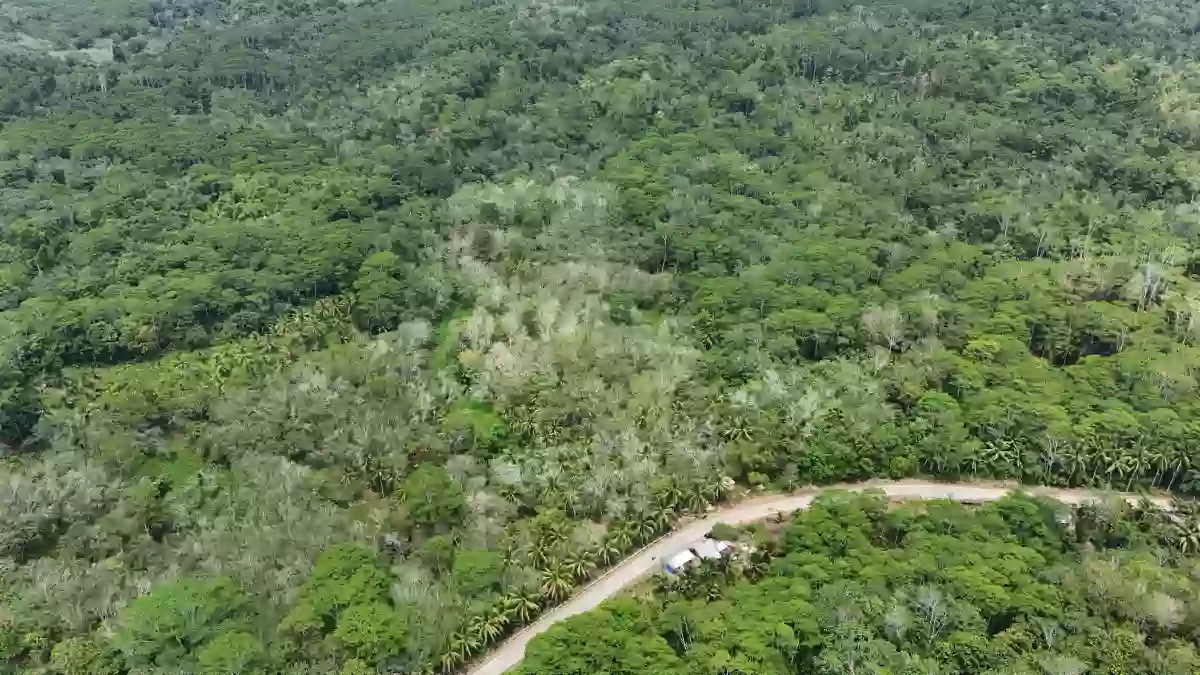 For Sale: Agricultural Lot in Katipunan, Bayugan City — 20172 sqm